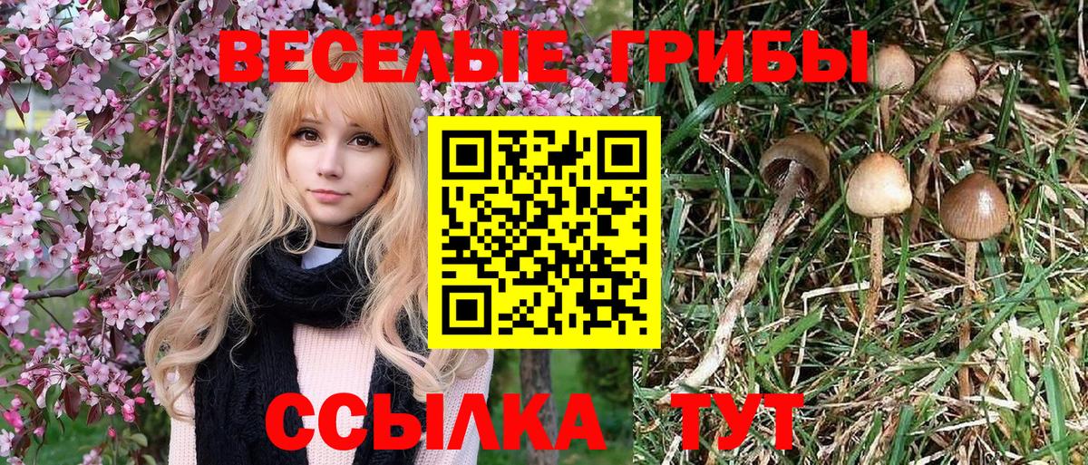 Псилоцибиновые грибы мухоморы Будённовск