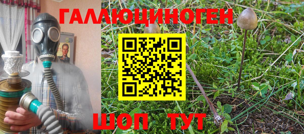 Будённовск  Псилоцибиновые грибы Magic Shrooms  Вход с VPN 
